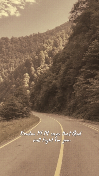 Éxodo 14: 14