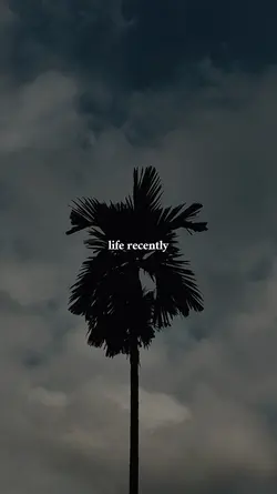 life recently