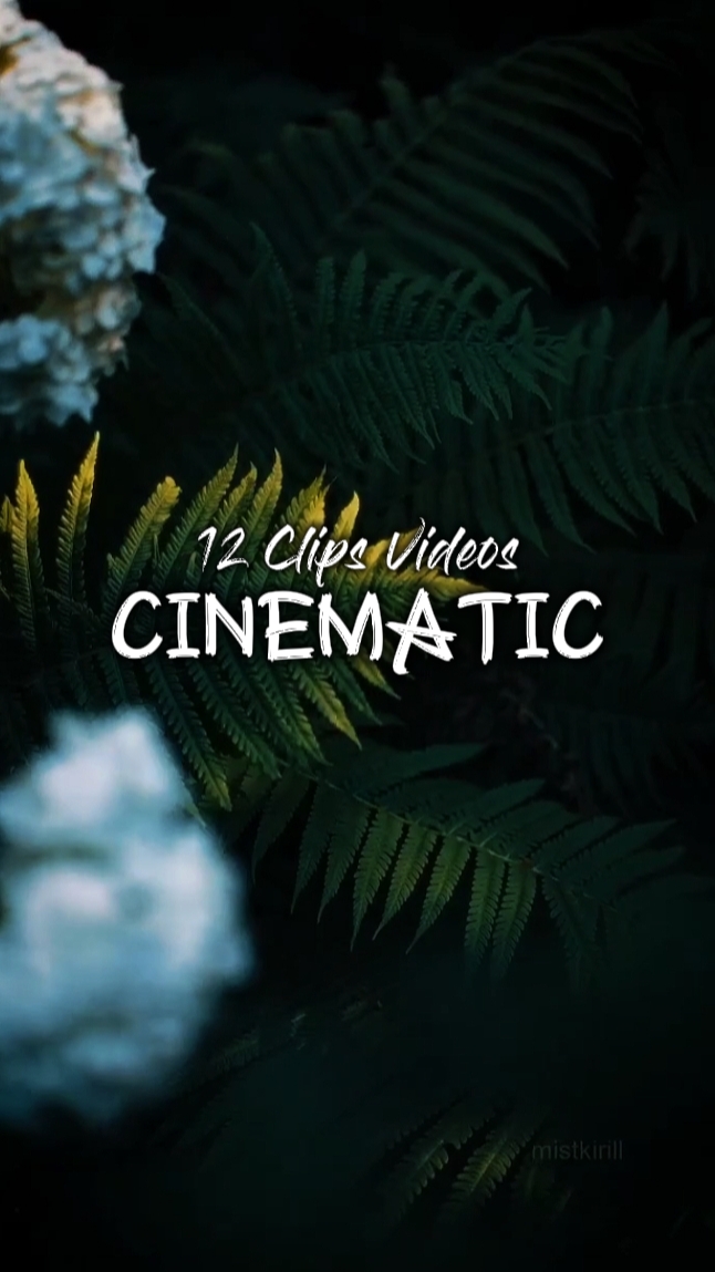 ÄSTHETISCHE VIDEOS