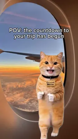 Cat Dancing Meme ai