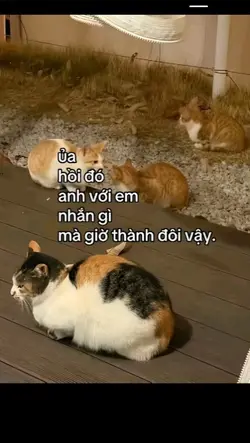 xh