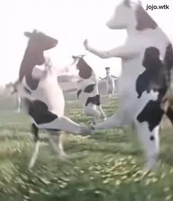 Cow