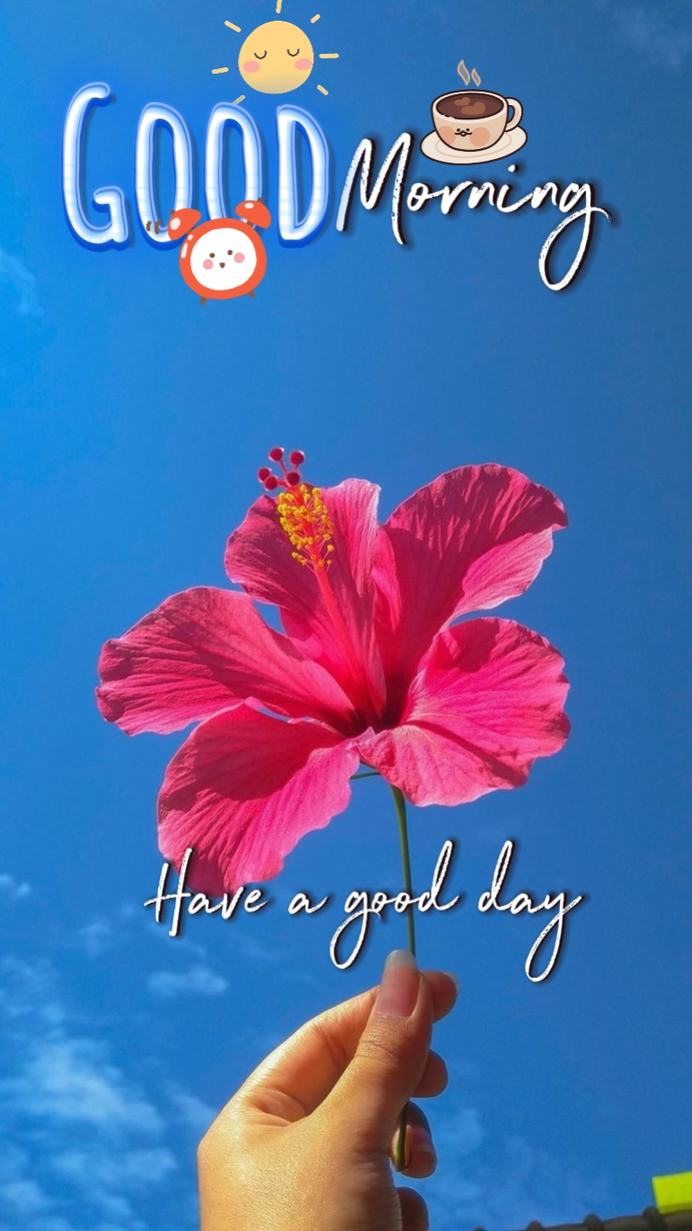 good morning