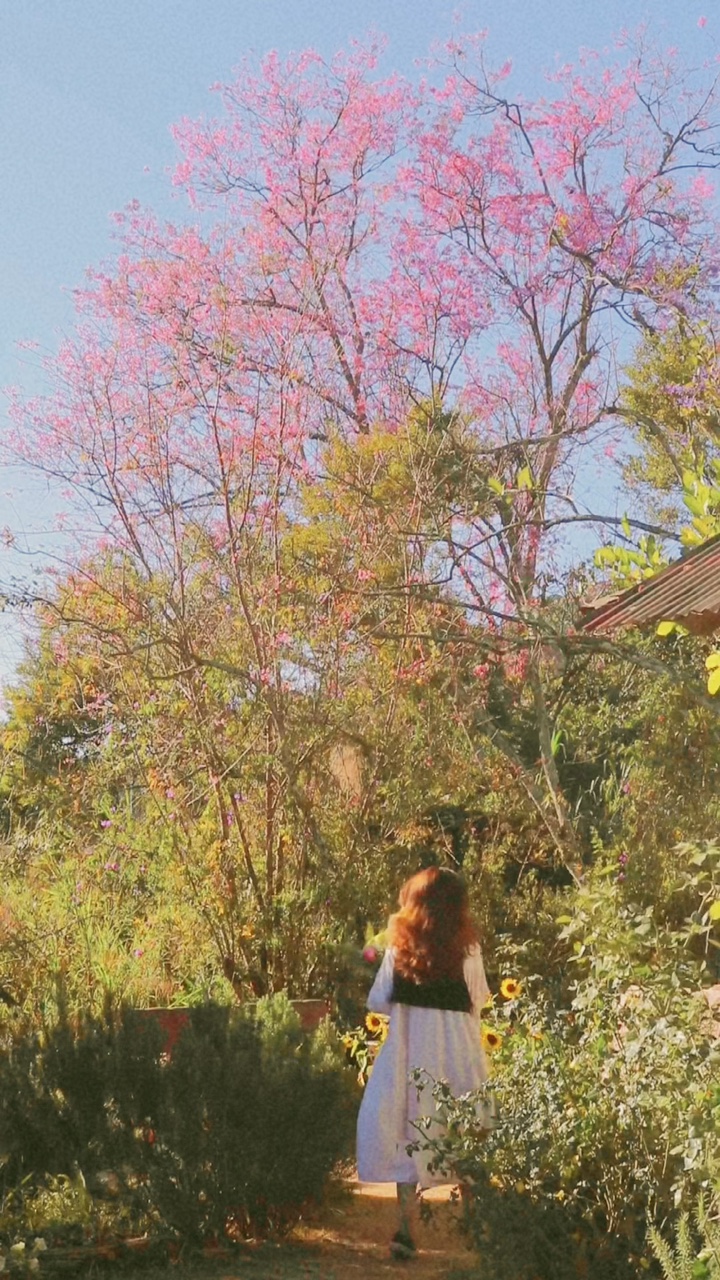 Vintage | 4 vid