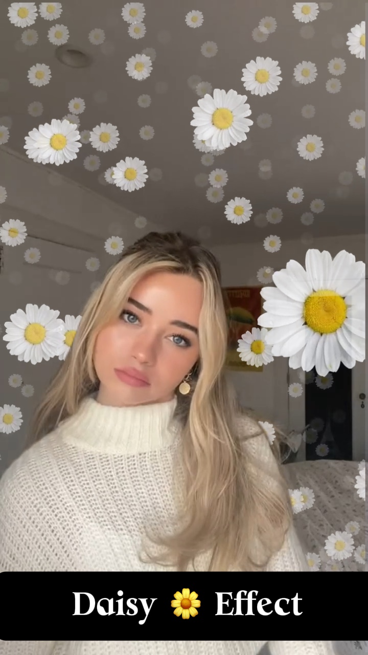 Efeito Margarida 🌼 