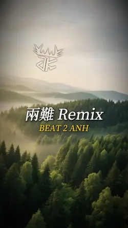 兩難 Remix