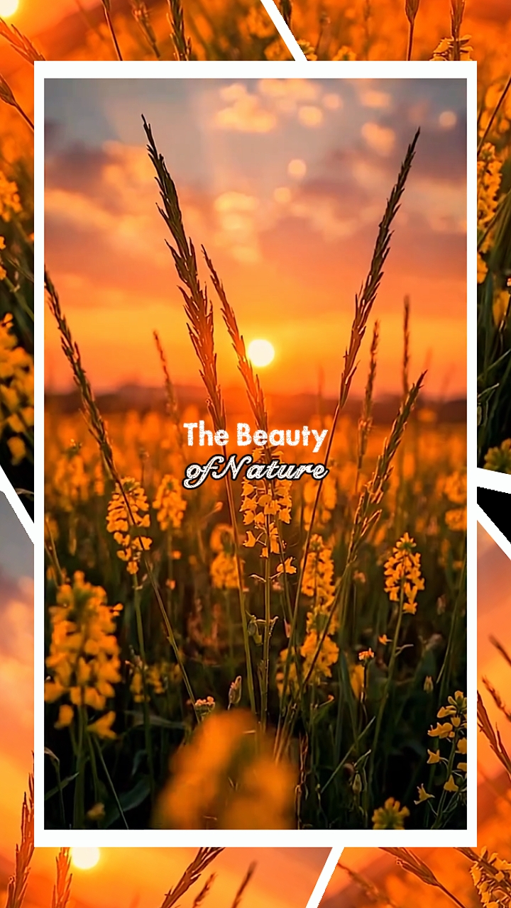 the beauty of nature