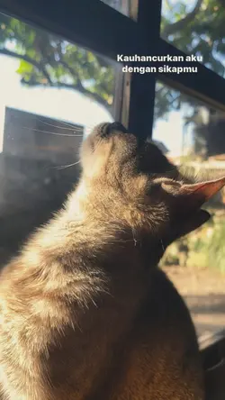 Cinta ini membunuhku