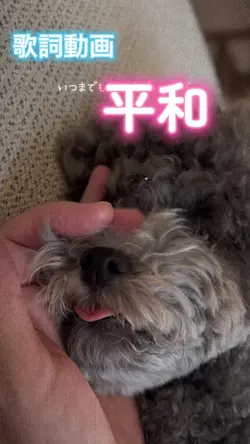 この幸せがずっとずっと続いて欲しいだけ