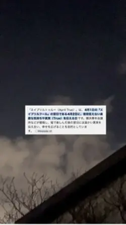 動画1本写真1枚