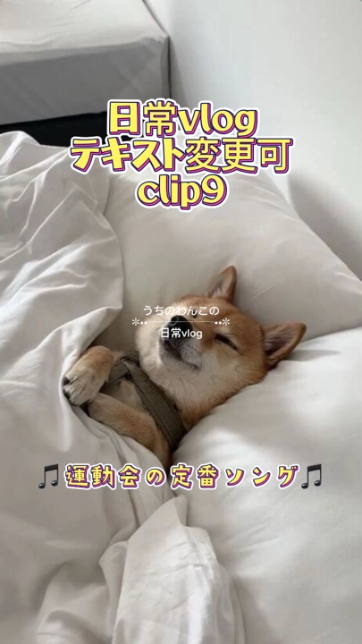 日常vlog/clip9