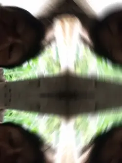 3 ảnh hài hước