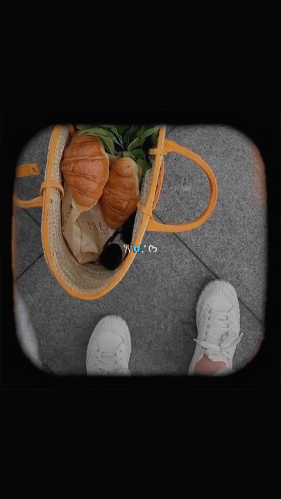 mini vlog retro