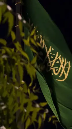 Cinematic islamic