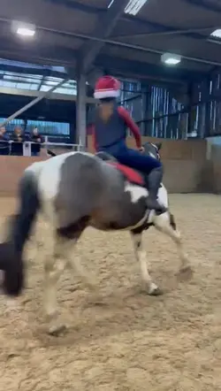 mounted gamesss
