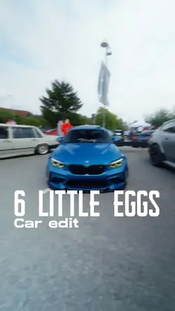 6 little eggs