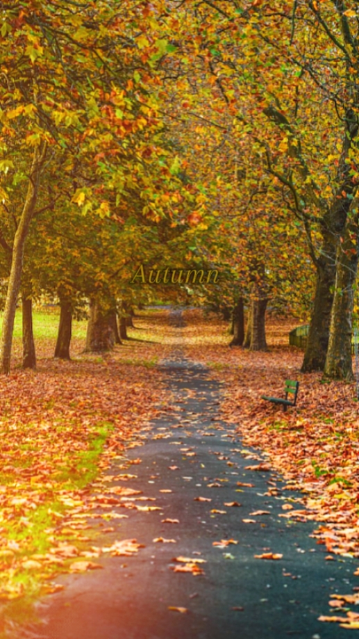 automne 