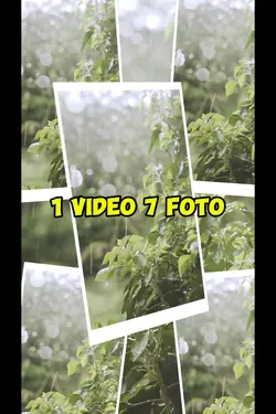 1 video 7 foto