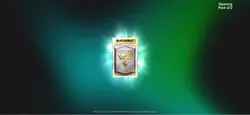 W pack