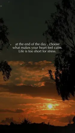 Life is too short