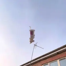 KINGERS FLYING