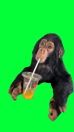 monkey drink