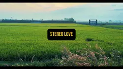 Stereo Love