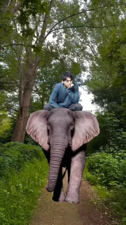 riding an elephant
