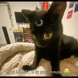 LARRY MEME 
