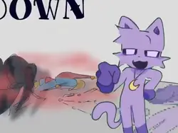 CATNAP EDIT