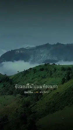 ดอกไม้ของเธอ