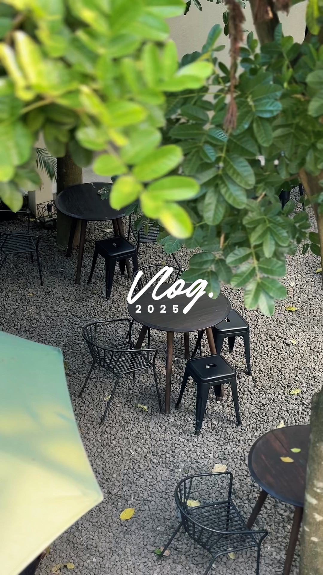 Vlog 2025