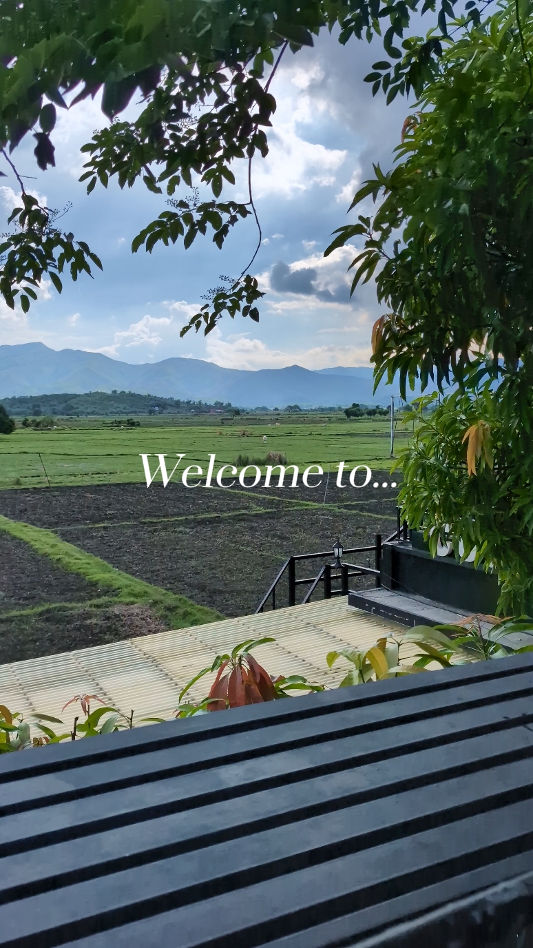 Welcome to...