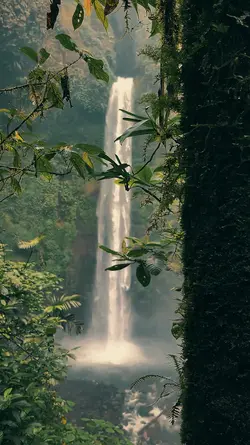 Waterfall