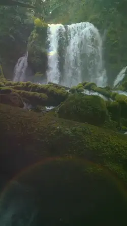 9 video clips