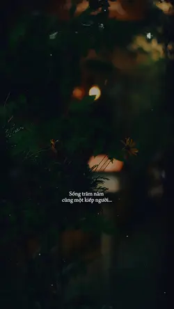 Một Ngày Đáng Sống