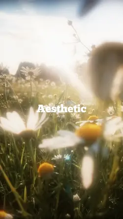 Aesthetic Filter
