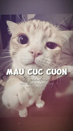 2 ẢNH GIẬT GIẬT CHÁY