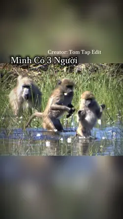 Mình có 3 người