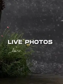 LIVE PHOTOS 