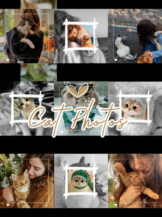 Mutlu Kedi Günü