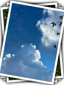 5Pic Aesthetic Trend