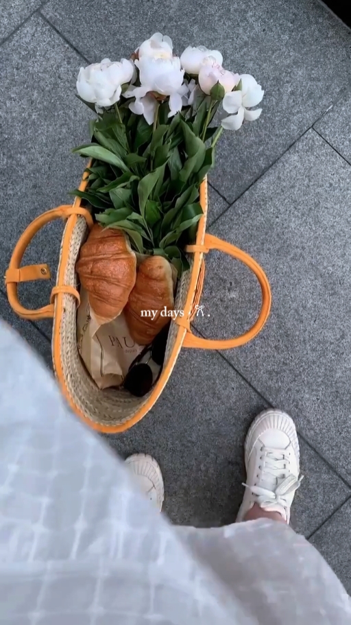 Vlog diario 