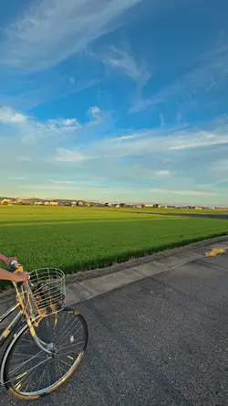 FILTER IPHONE JERNIH