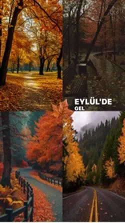 Eylül Şablonu 