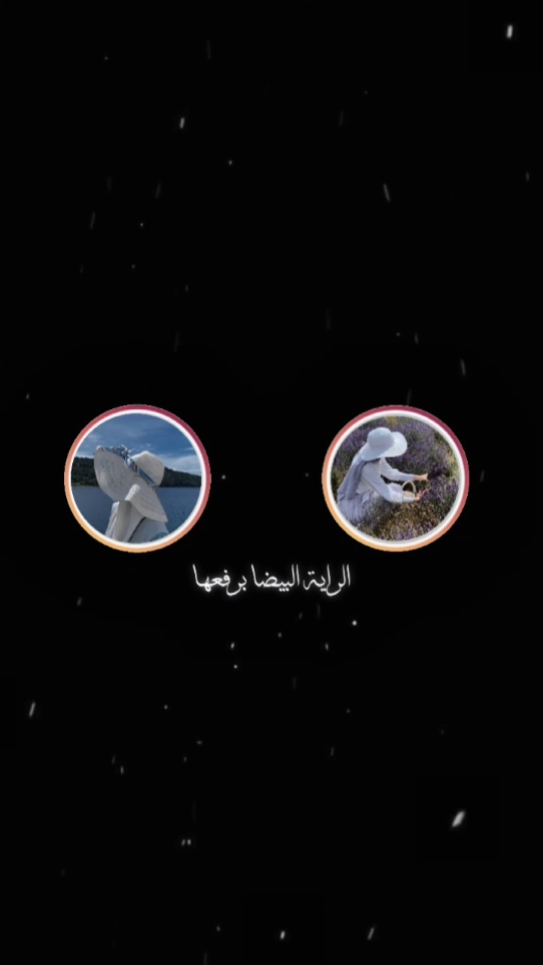 Arabic instastory 