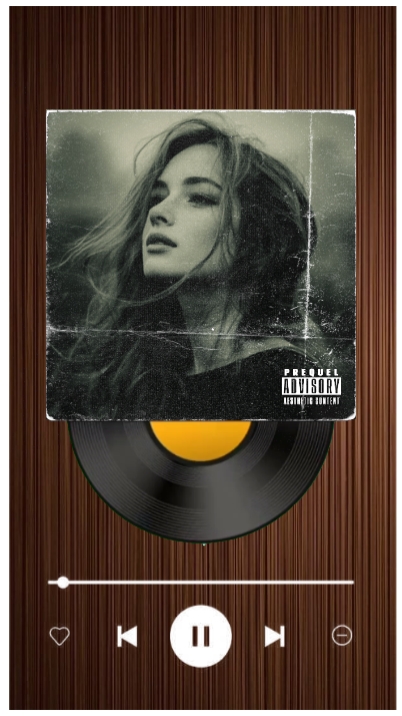 Disco de vinil de capa