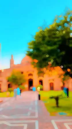 Colour Grading 🫶🏼🕊️