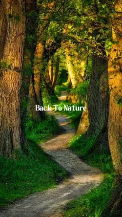 Nature Therapy