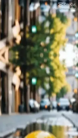 Reflexii în ploaie